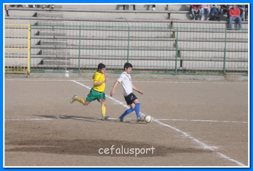130406 delfini 101_tn.jpg